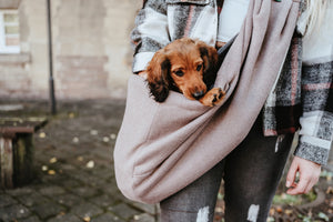 Puppy / Small Dog carry bag sling
