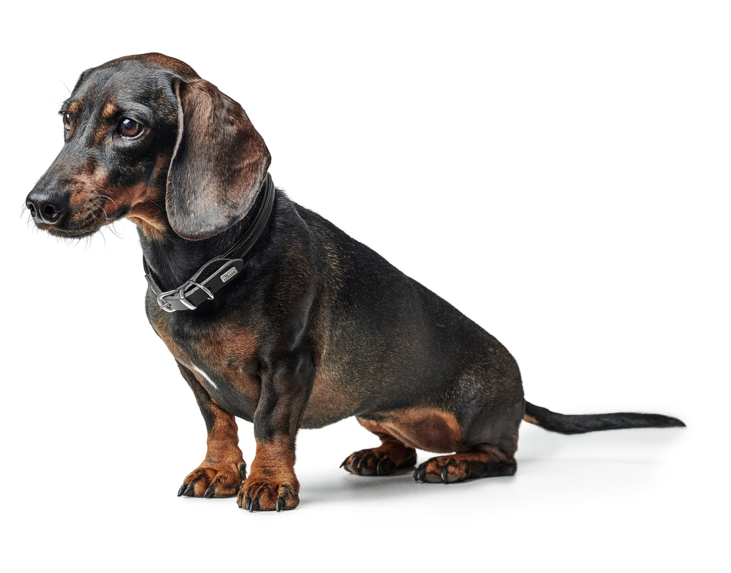 Round and Soft Leather Collar - Hunter