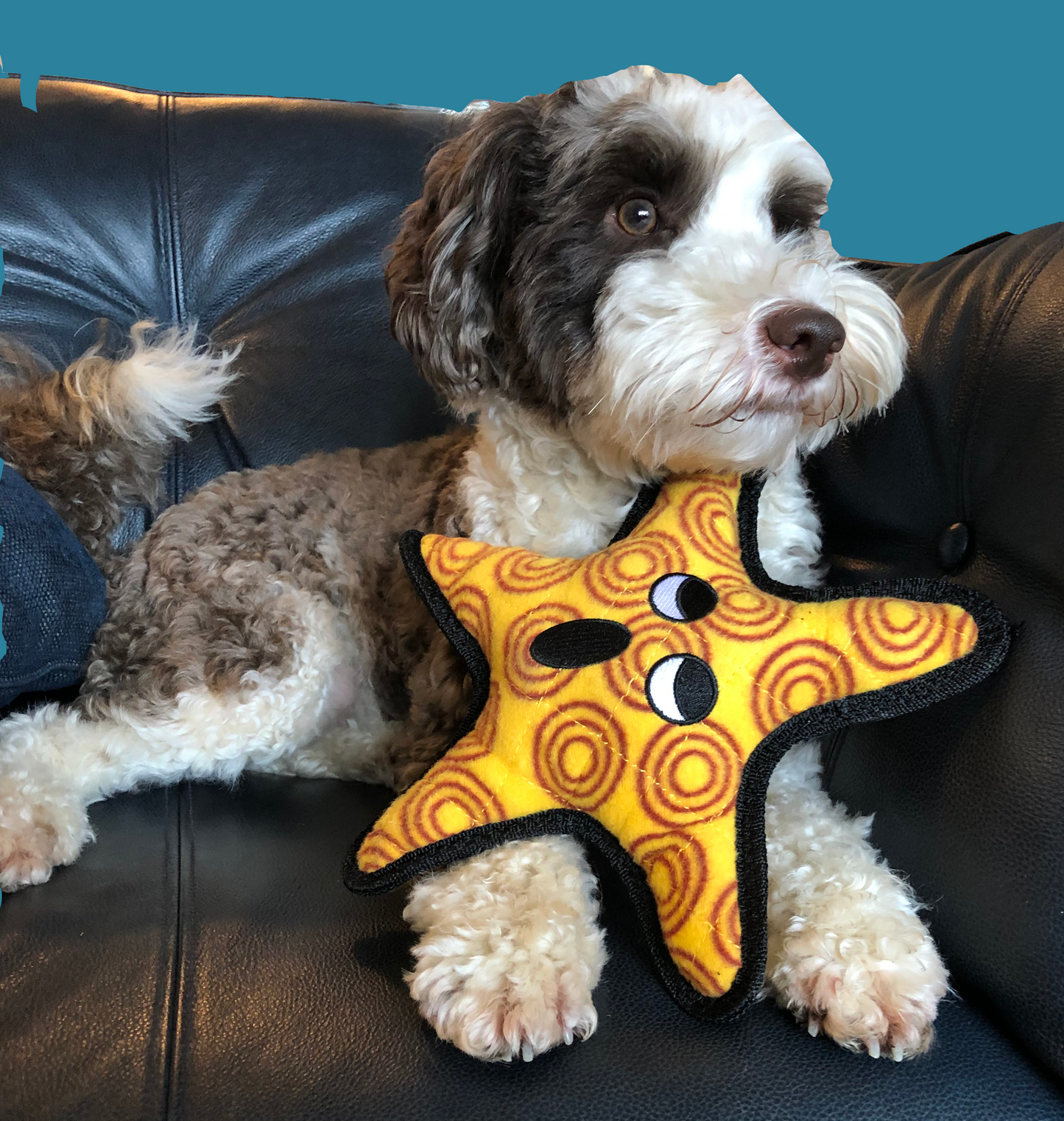 Ocean Creature Starfish Durable, Tough, Squeaky Dog Toy | Tuffy