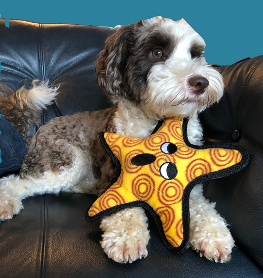 Ocean Creature Starfish Durable, Tough, Squeaky Dog Toy | Tuffy