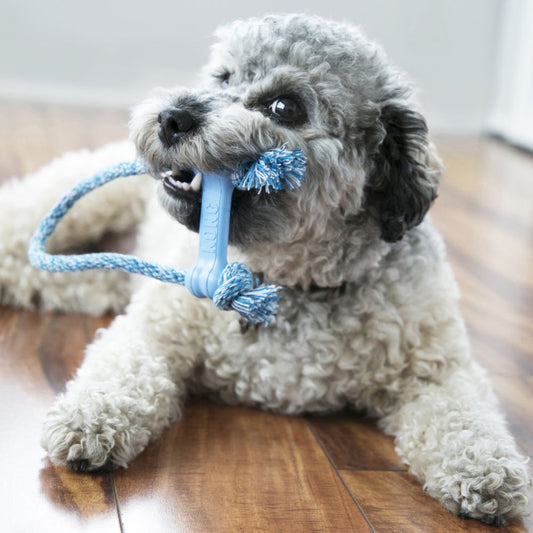 KONG Puppy Goodie Bone on rope - extra small