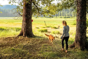 Ruffwear KNOT-A-HITCH campsite dog-hitching system