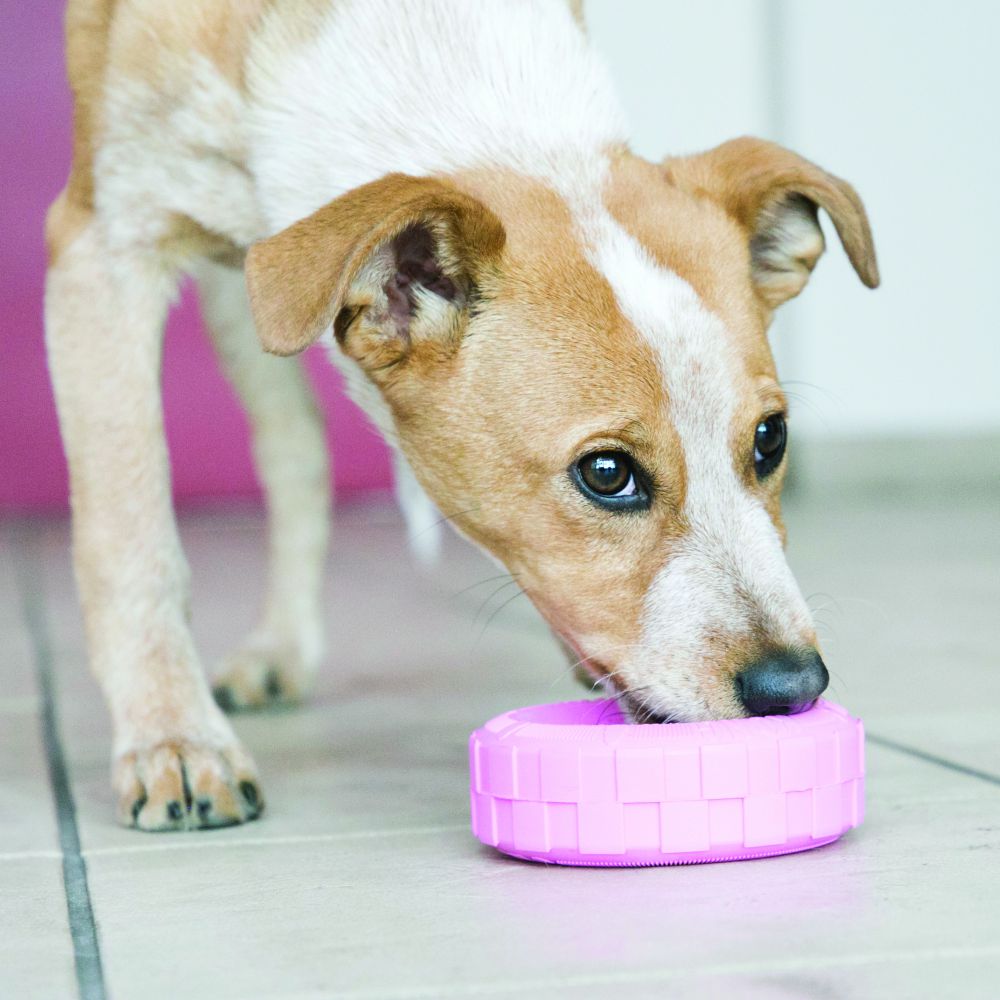 KONG Puppy Tyre Blue & Pink