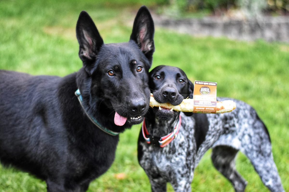 No-Hide Chicken Chew - Easily Digestible - Earth Animal