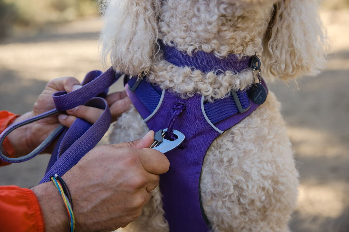 Ruffwear Front Range Collar | SALE | Medium & Large Breeds