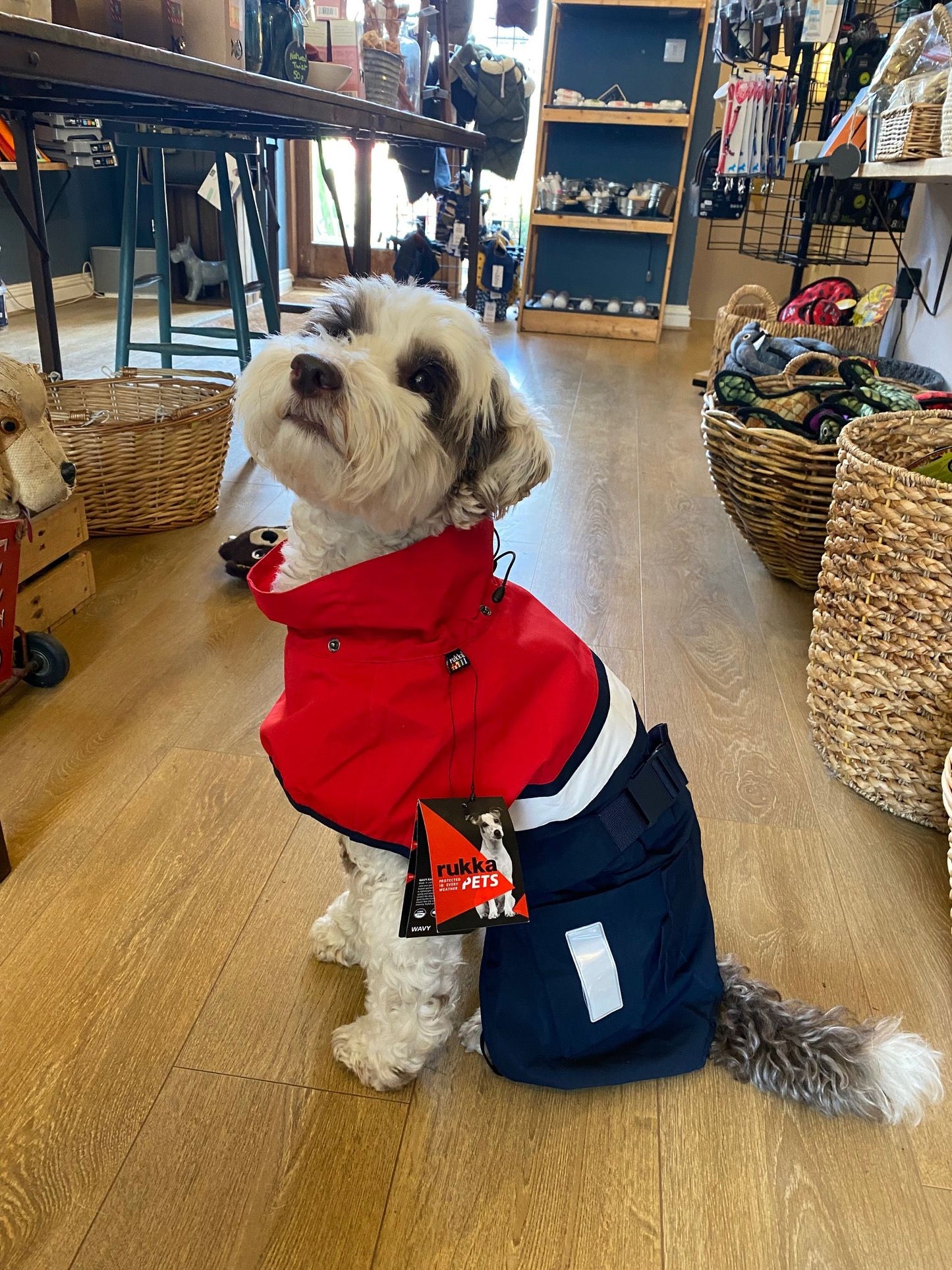 Rukka Pets Wavy Raincoat - Chili