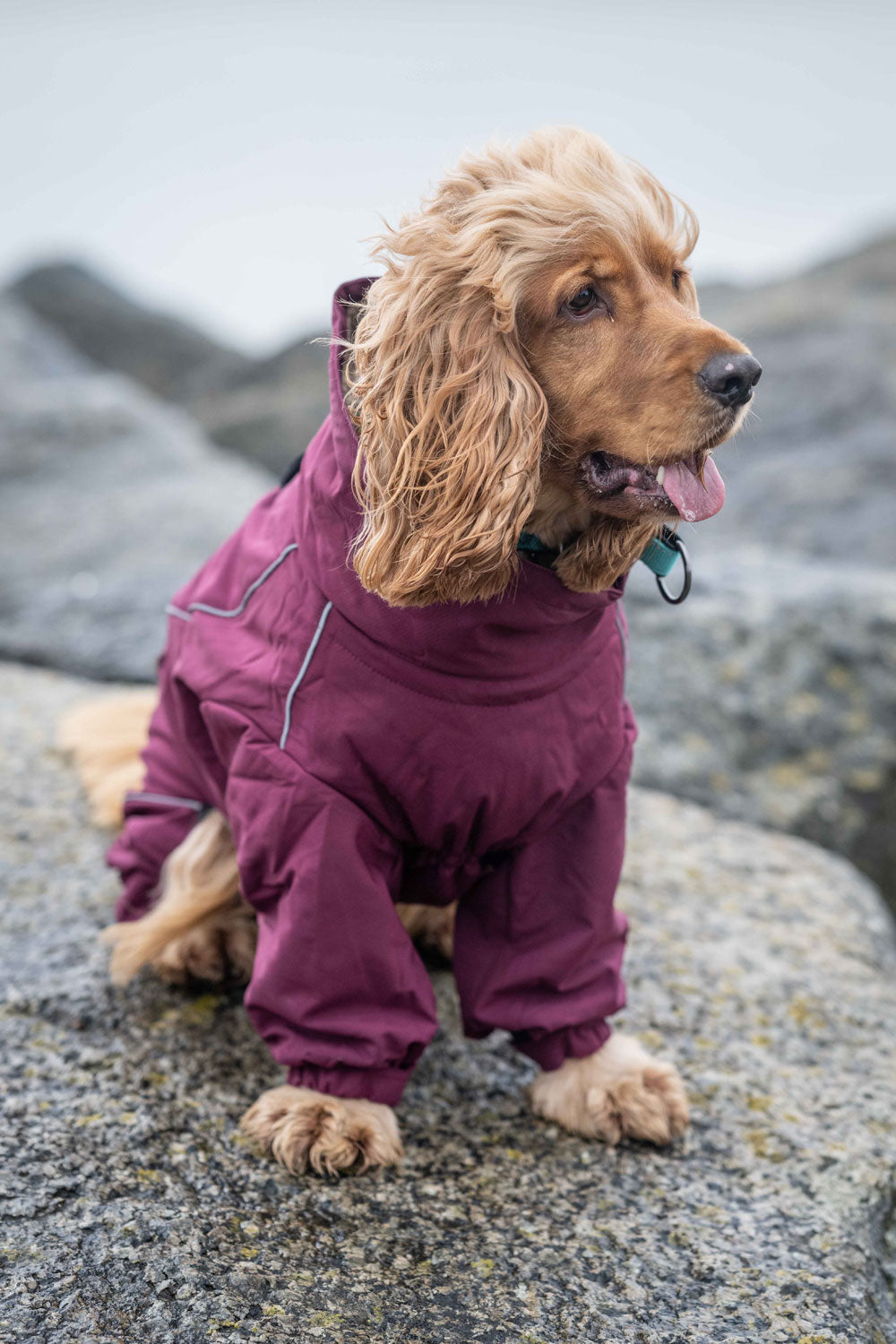Rukka Thermal Overall - Two Colours