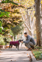 Load image into Gallery viewer, Ruffwear STUMPTOWN Quilted Dog Coat - Larkspur Purple