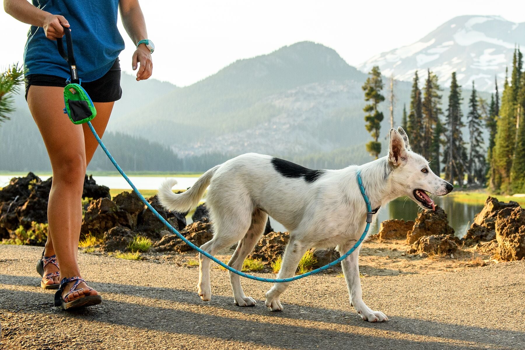 Ruffwear Just a cinch lead dog lead