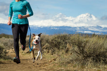 Load image into Gallery viewer, Ruffwear - Flat Out lead - Spring Burst
