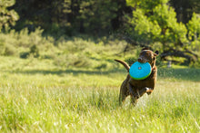Load image into Gallery viewer, Ruffwear- Hover Craft Toy