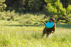 Ruffwear- Hover Craft Toy