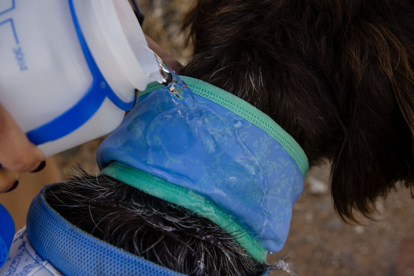 Ruffwear Swamp Cooler Cooling Neck Gaiter