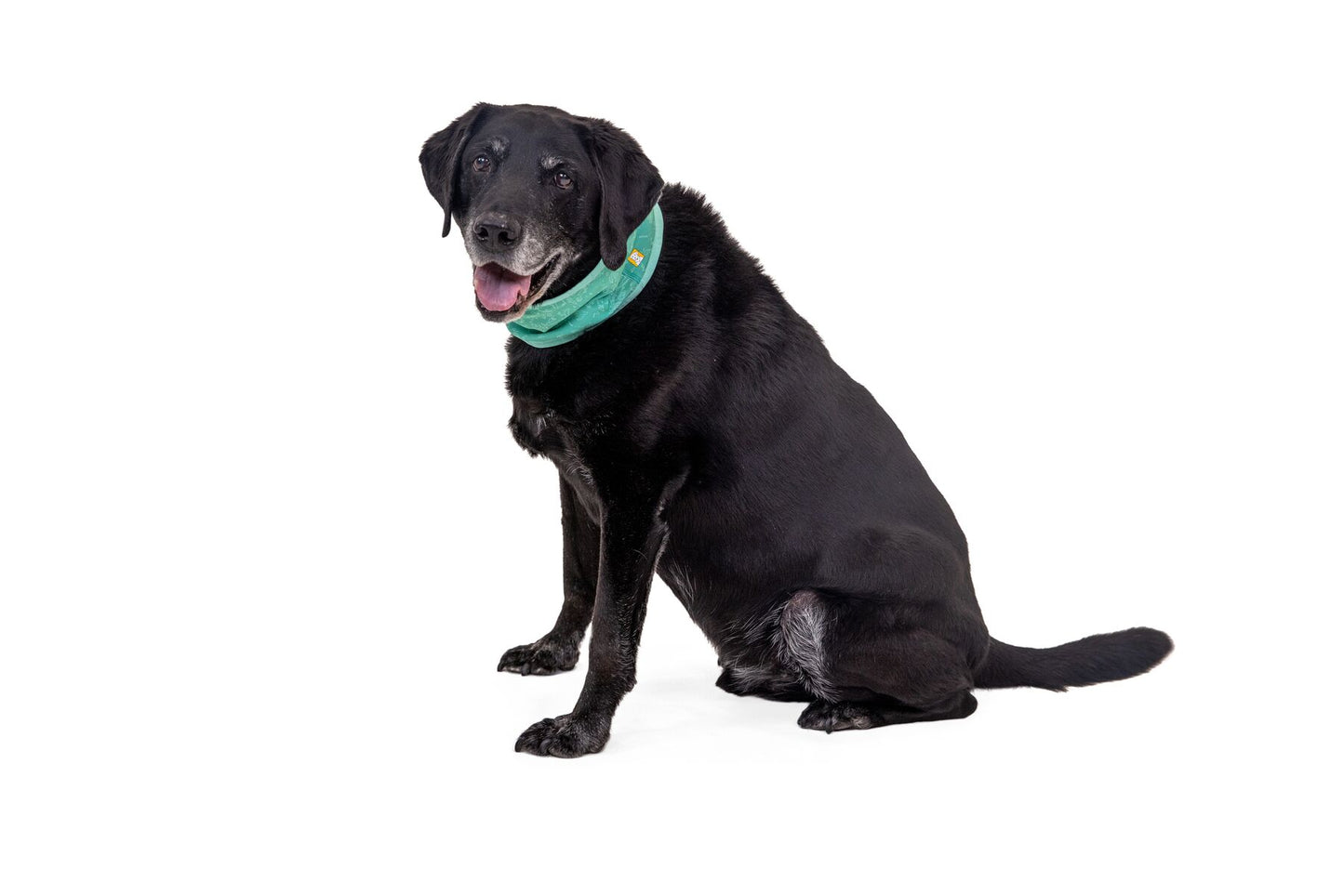 Ruffwear Swamp Cooler Cooling Neck Gaiter