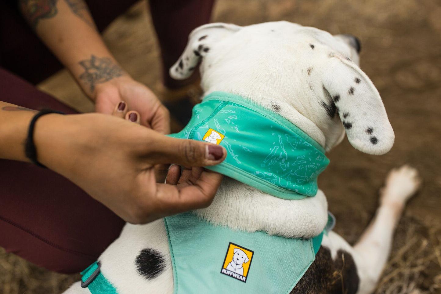 Ruffwear Swamp Cooler Cooling Neck Gaiter