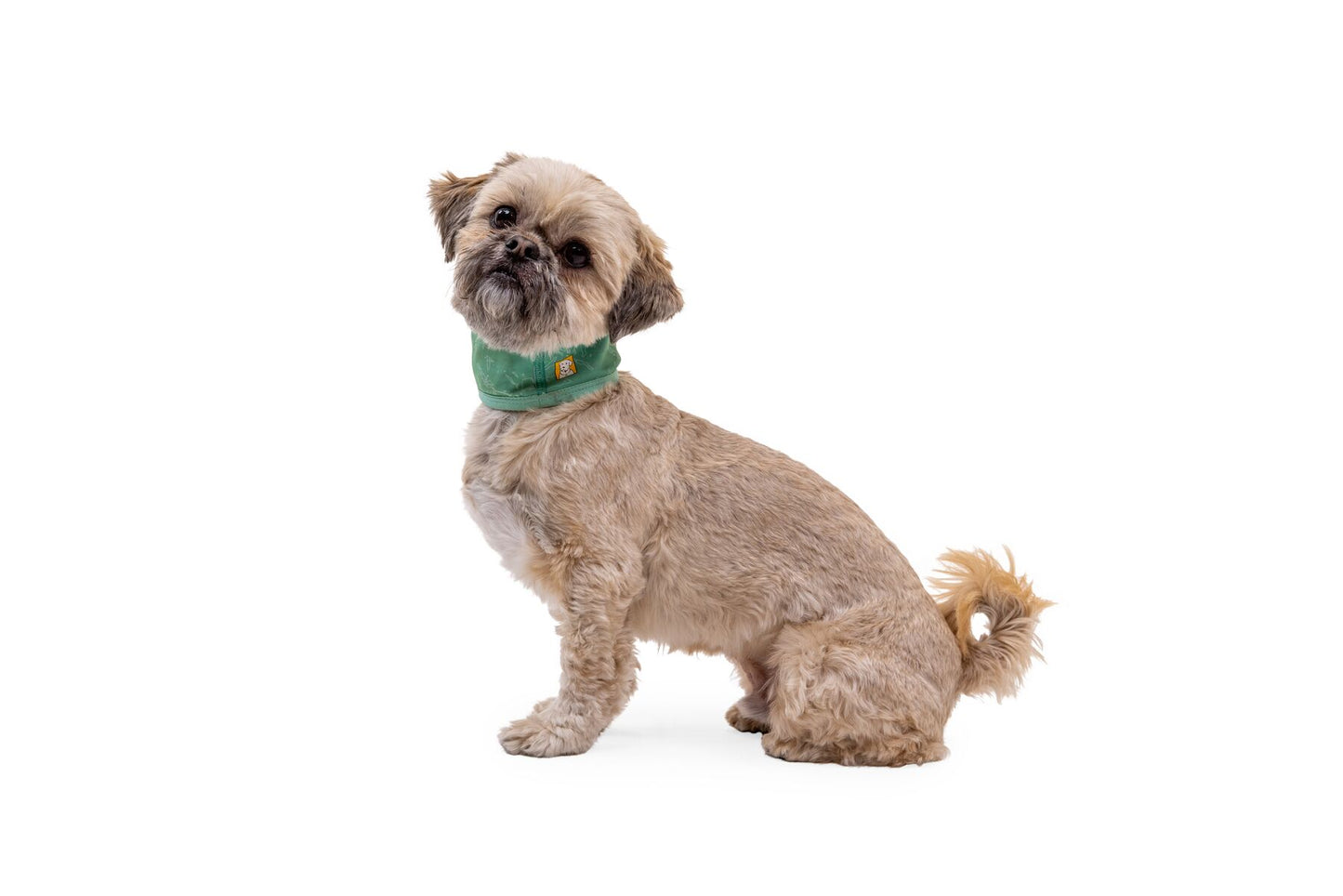 Ruffwear Swamp Cooler Cooling Neck Gaiter