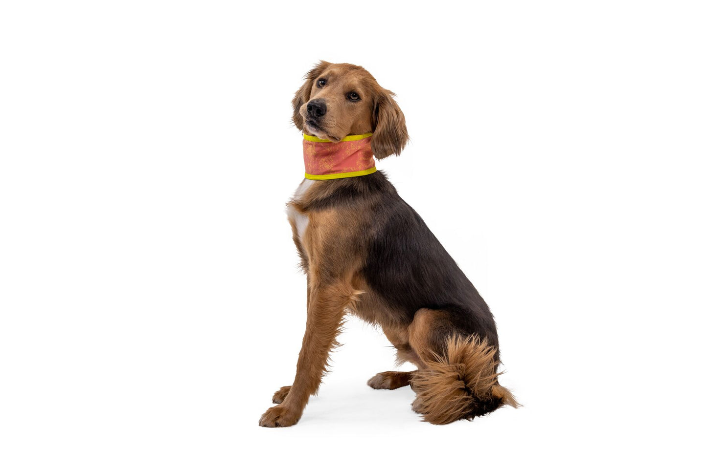 Ruffwear Swamp Cooler Cooling Neck Gaiter