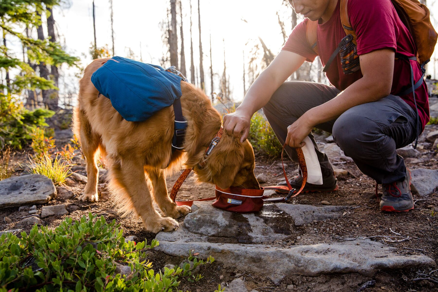 Ruffwear Front Range Day Pack Dog Harness in Blue Moon