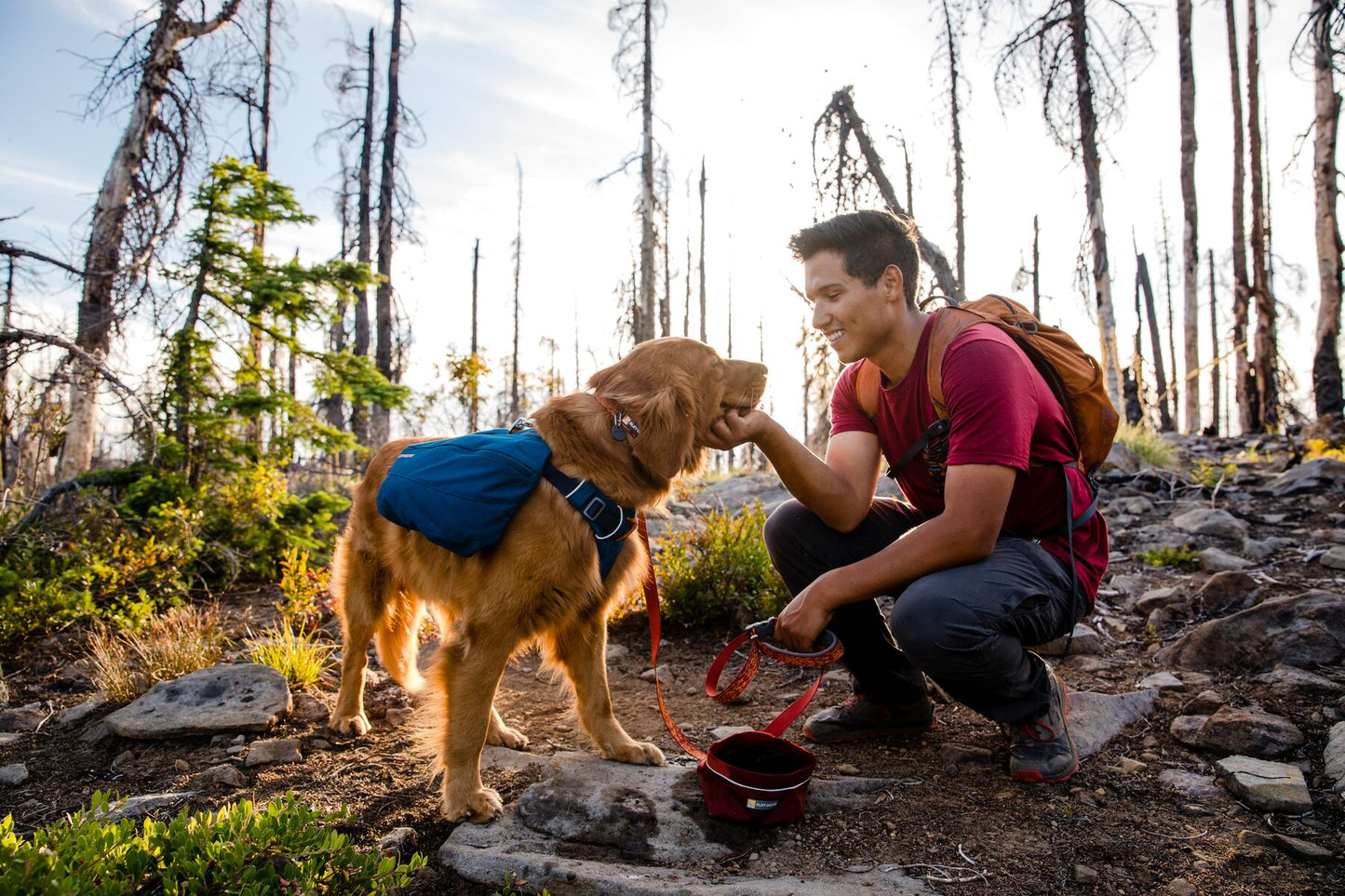 Ruffwear Front Range Day Pack Dog Harness in Blue Moon