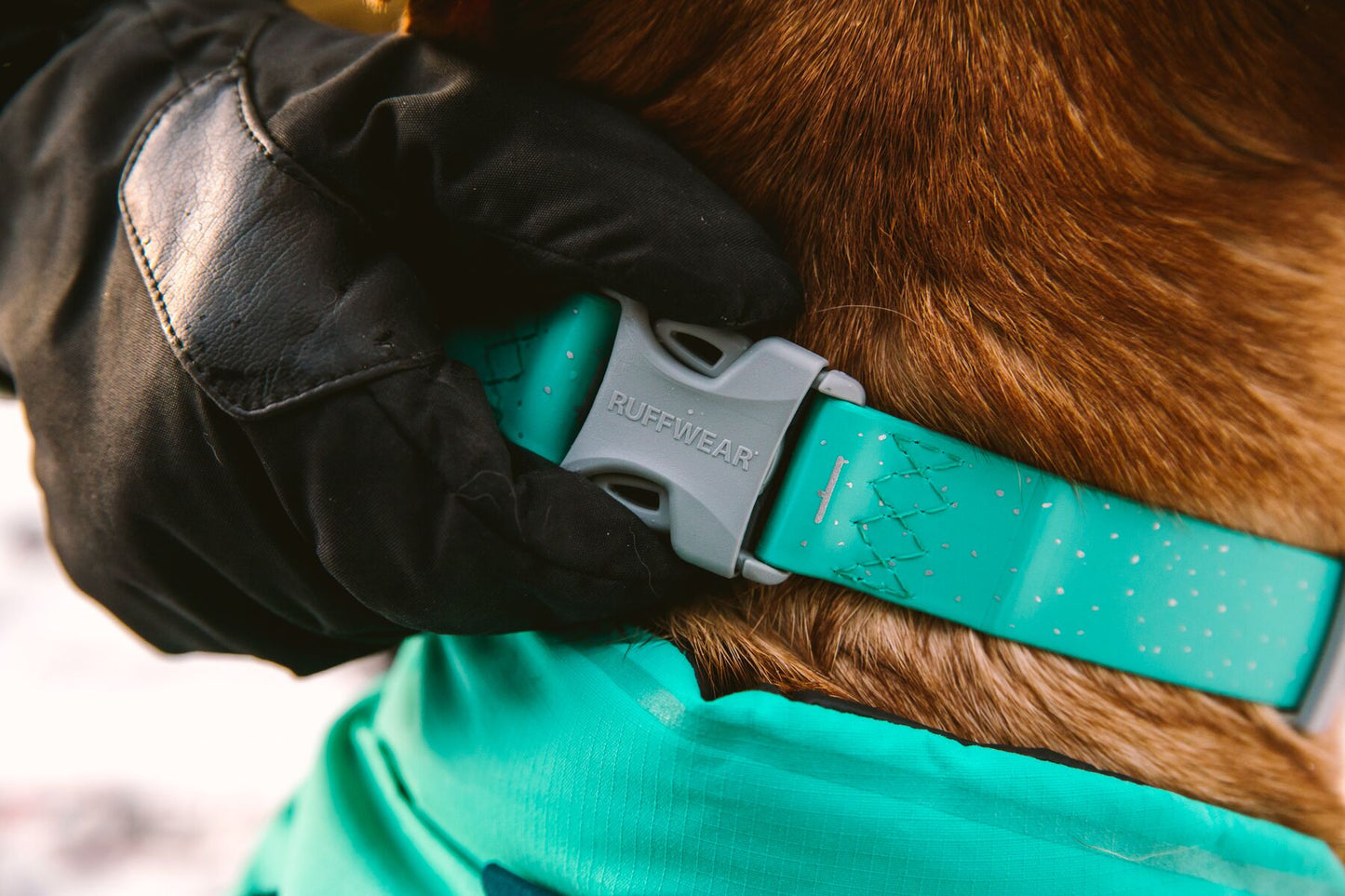Ruffwear Waterproof Dog Collar | Confluence Collar For Water Dogs