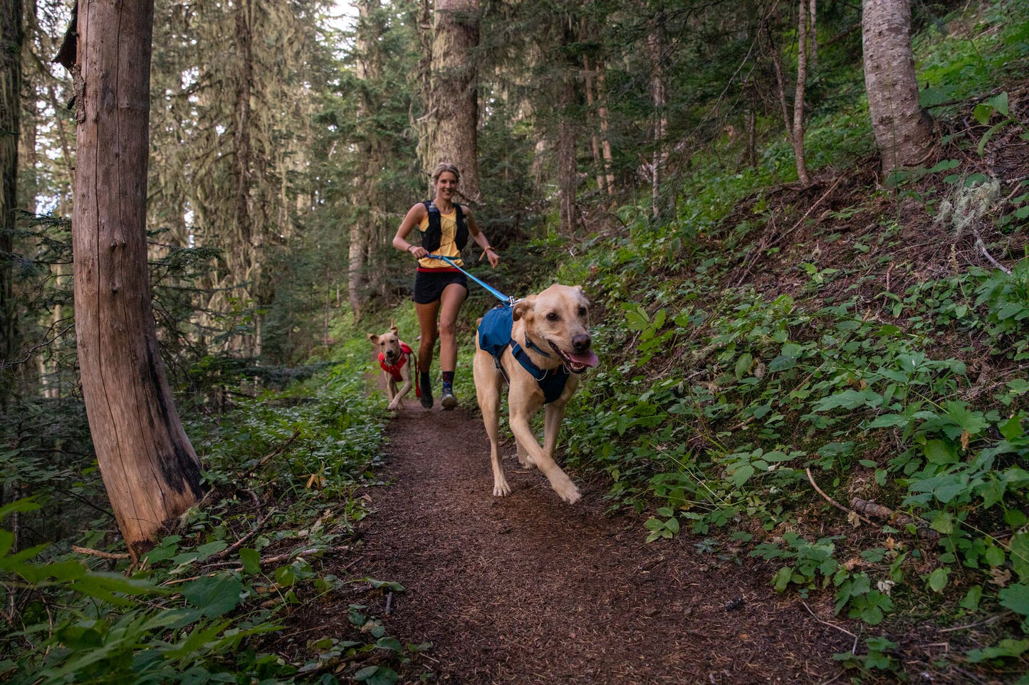 Ruffwear Switchbak Harness in Blue Moon