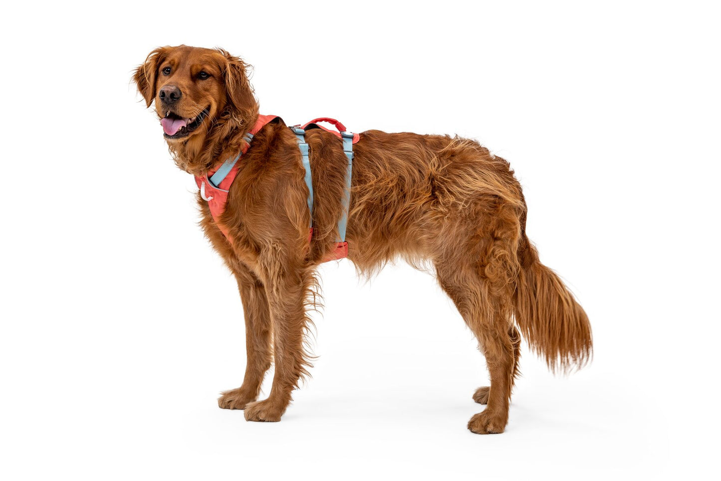 Ruffwear Flagline Harness