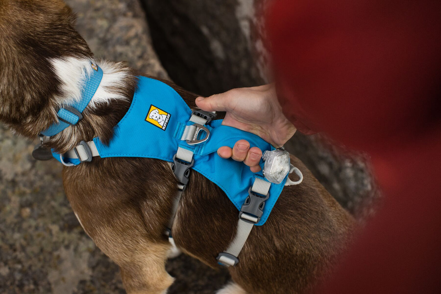 Ruffwear Flagline Harness