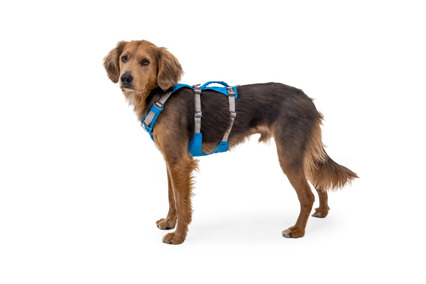 Ruffwear Flagline Harness