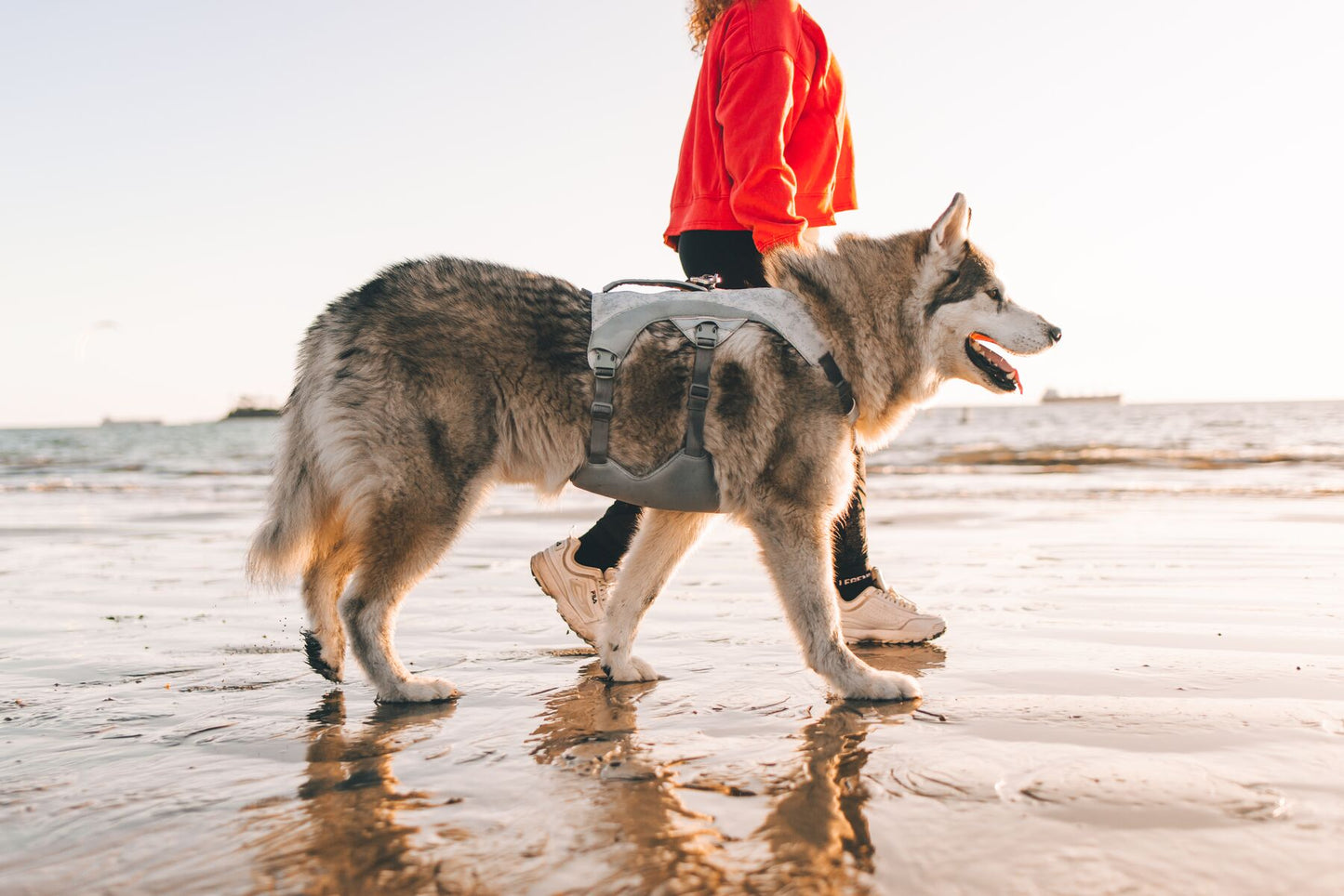 Ruffwear Swamp Cooler - Dog Cooling Harness