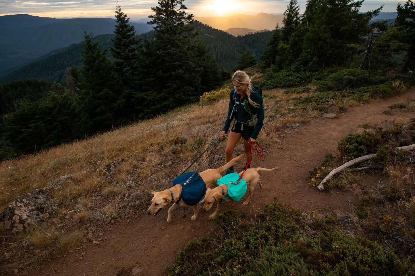Ruffwear Front Range Day Pack Dog Harness in Aurora Teal