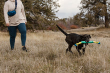 Load image into Gallery viewer, Ruffwear Pacific Loop toy
