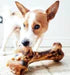 Ultra Long Lasting - Large Ostrich Bone - JR Pet
