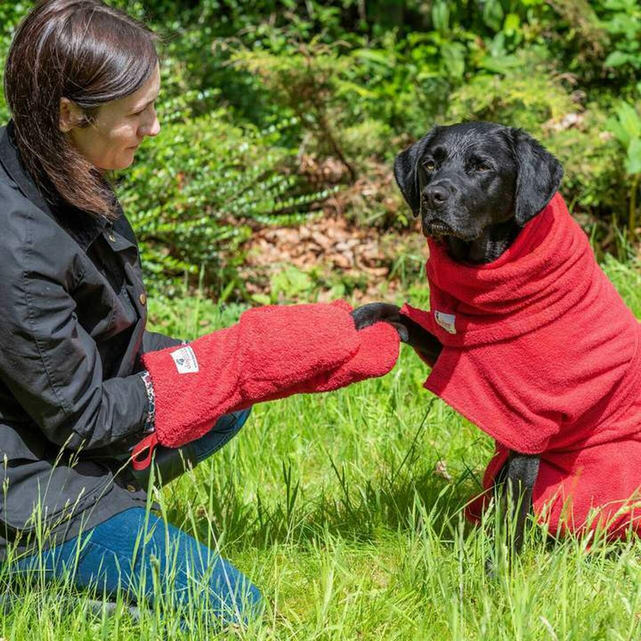 a dog having his paw dried using a pair of drying mitts