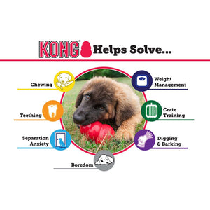 KONG Puppy from XS to L