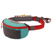 Load image into Gallery viewer, Ruffwear Hitch Hiker Lead Portable Hitch &amp; Leash Combo