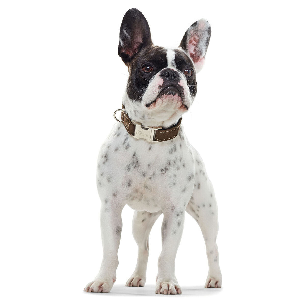 Halsung Hunting Nubuck Leather Collar - Hunter - Various colours