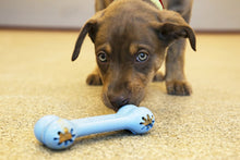Load image into Gallery viewer, KONG Puppy Goodie Bone pink or blue